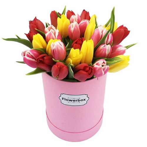 Pink tulip box